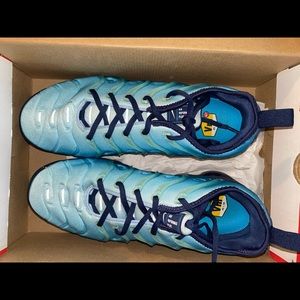 Nike vapor max plus